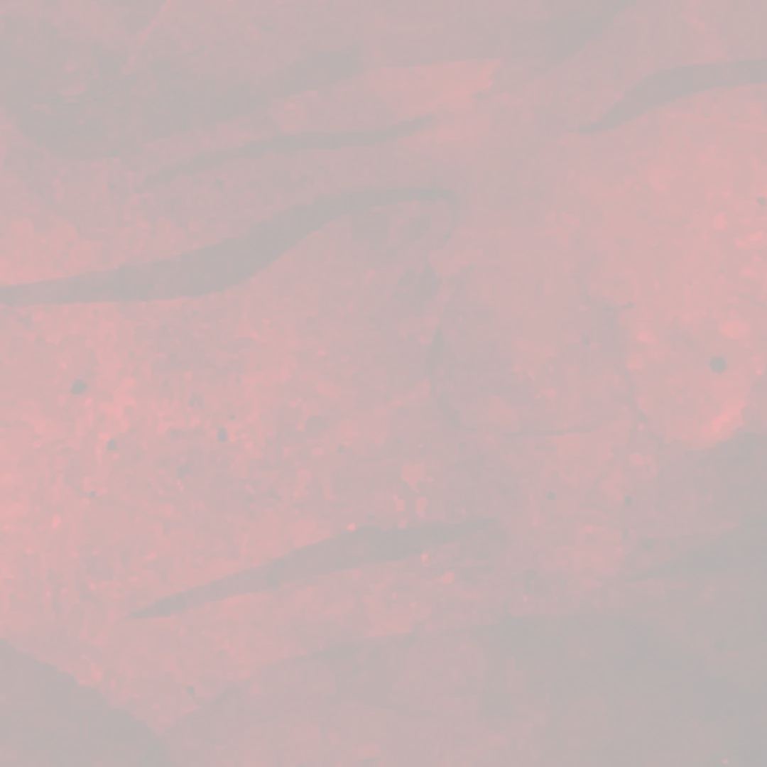 Card background image