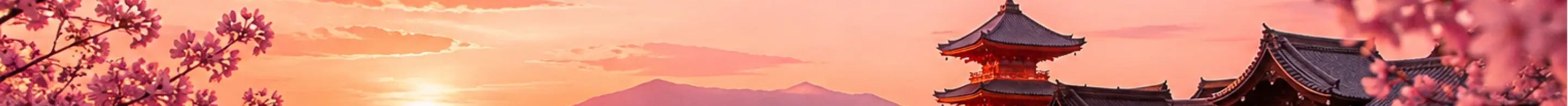 Kyoto City