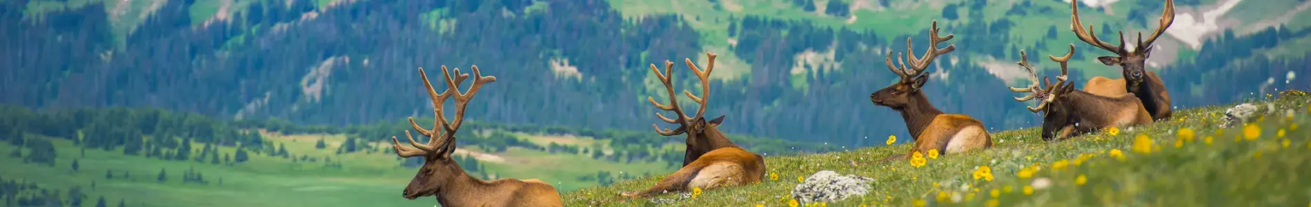 Rocky Mountains