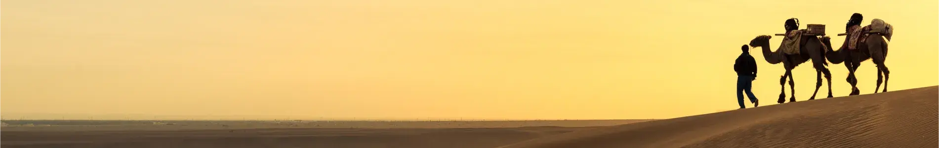 Silk Road