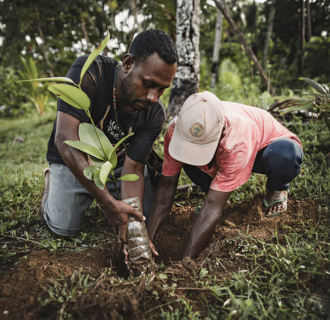 tree planting