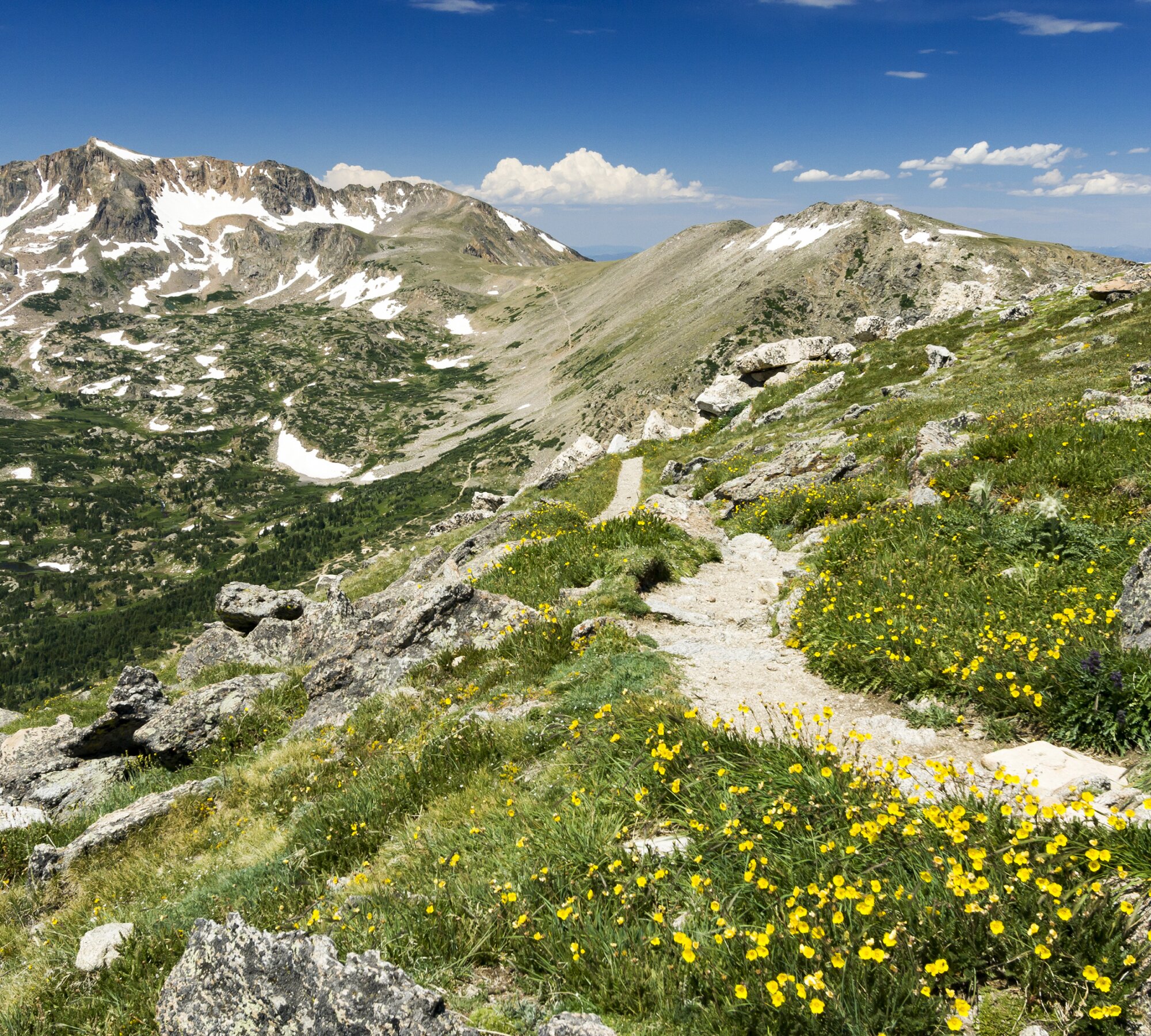 Continental Divide Trail Virtual Challenge | The Conqueror Virtual