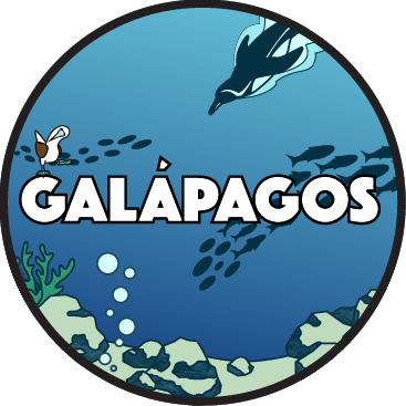Galapagos Virtual Challenge Apparel
