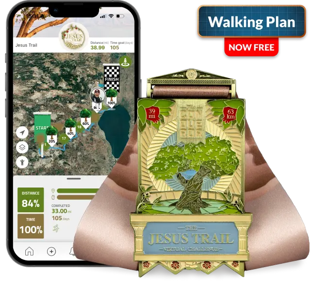 virtual challenge medal image