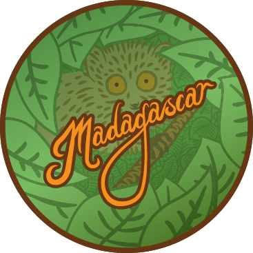Madagascar Virtual Challenge Apparel