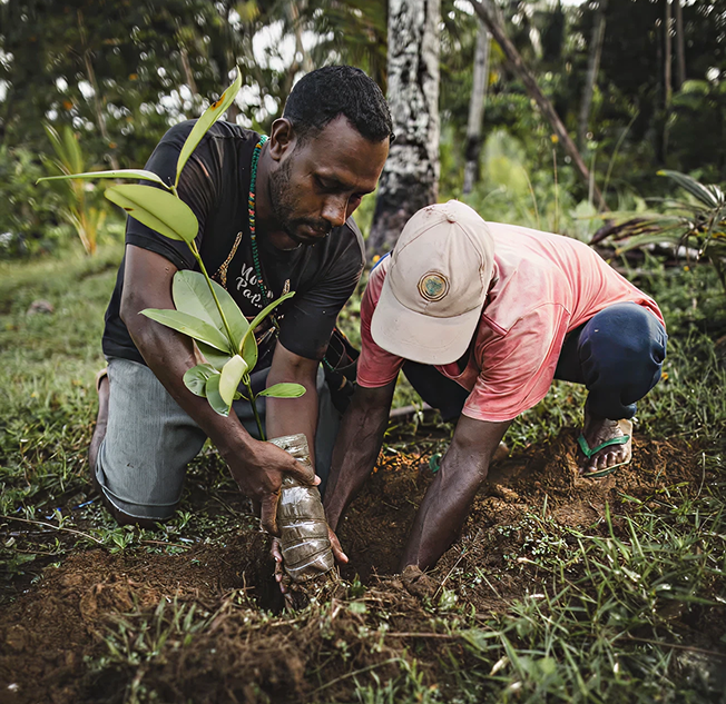 Veritree — tree planting partner